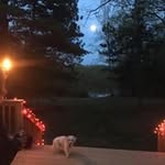 Dave Lohse - @dave.lohse - Instagram