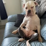 Dave Lomo Lomas - @lomo62 - Instagram