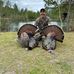 Dave Longo - Facebook