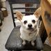 Dave Loper - Facebook