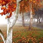 Dave Loper - @lopeadope - Instagram