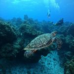 Dave Loper - @dtloper - Instagram