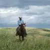 Dave Loree - @dave.loree - TikTok
