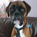 David C Lovejoy - Facebook