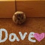 |\/|@|-¥ - @dave_lover - Instagram