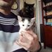 Dave Loveridge - Facebook