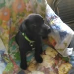 Dave Lovett - @dave.lovett.503 - Instagram