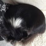 Dave Low - @davelow75 - Instagram