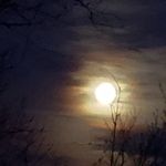 Dave Lowry - @lowrydave - Instagram