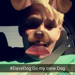 David Krejčiřík - @dave_lucky_ - Instagram