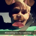 David Krejčiřík - @dave_lucky_ - Instagram