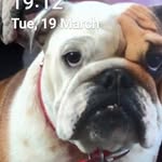 Dave Ludlow - @daveludlow1964 - Instagram