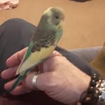 David Ludlow - @d.ludlow522 - Instagram
