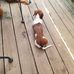 Dave Luedtke - Facebook