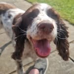 Dave Lunn - @minimustang1020 - Instagram