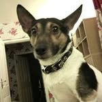 Dave Lunn - @dave.lunn - Instagram