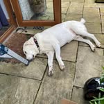 Dave Lupton - @dave.lupton - Instagram