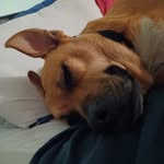Dave Lovesuzy - @dave.luther.505 - Instagram