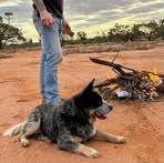 Dave Mabey - Facebook
