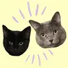Dave & Mac - @davemacbros - TikTok