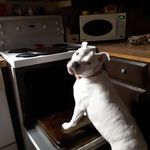 Dave MacGregor - @dave.macgregor2 - Instagram