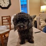 Dave MacGregor - @macgregor.dave - Instagram