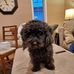 Dave MacGregor - Facebook