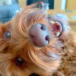 Dave Machin - @machin.dave - Instagram
