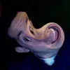 Dave Machado742 - @davidlikespugs - TikTok