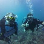 Dave MacIntosh - @davemacintosh732 - Instagram