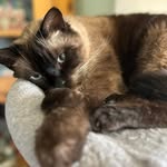 Dave Macisaac - @dmac155 - Instagram