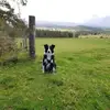 Dave Mackenzie - @user54468352 - TikTok