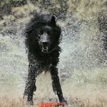 Dave MacLeod - @davemacleod6 - Instagram
