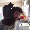 Dave MacLeod - @dave.macleod4 - TikTok