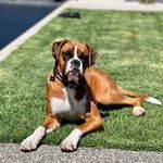 Dave Macmillan - @macmillan7668 - Instagram