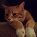 Dave Macneil - Facebook