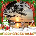 Dave MacNeil - @dave.macneil.794 - Instagram