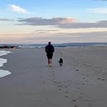 Dave Maddison - @davidmaddison1 - Instagram