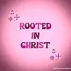 Dave Maddison - @dave.maddison20 - TikTok