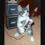 Dave Madsen - Facebook