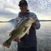 Dave Maes - Facebook