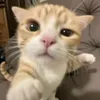 Dave Magno - @yo.b0i - TikTok