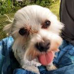 Dave Maher - @dave.maher.7792 - Instagram