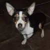 daveschweymaier - @daveschweymaier - TikTok