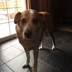 Dave - @dave___major - Instagram