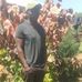 David Major - Facebook