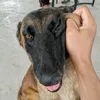 Francis Dave Makiputin - @francis.dave.maki - TikTok