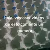 Dave Maldonado Poveda - @davemaldonadopove - TikTok