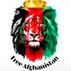 MalekzaiDave420 - @malekzaidave420 - TikTok