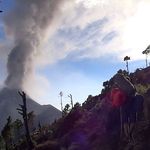 Dave Malkin - @davemalkin - Instagram
